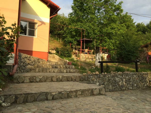 Case, Razvad, Zona de Deal