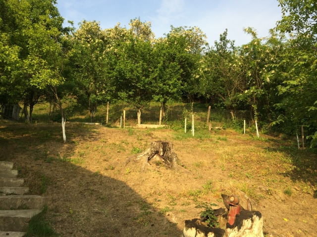 Case, Razvad, Zona de Deal