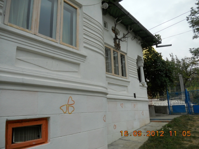 Case, Bogdanesti, Centru