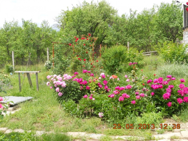 Case, Bogdanesti, Centru