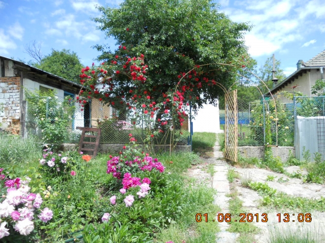 Case, Bogdanesti, Centru