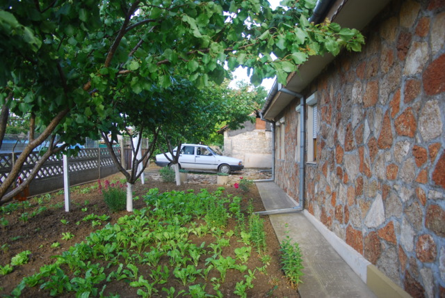 Vile, Mangalia, Scoala nr 1