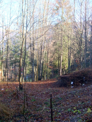 Pentru constructie case-vile, Sinaia, Centru