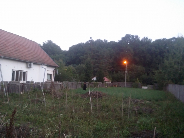 Pentru constructie case-vile, Snagov Sat, Astoria - Lac Snagov - Padure