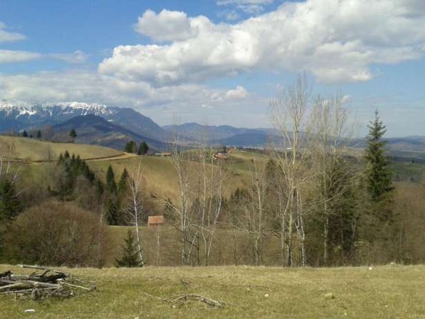 Intravilane, Sohodol, Centru