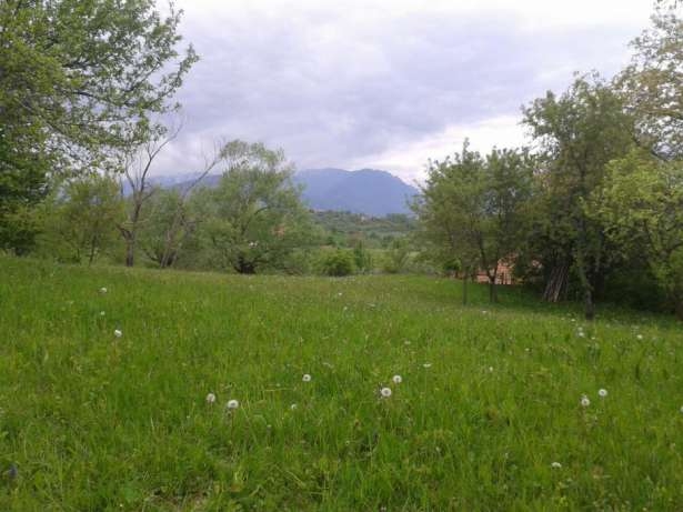 Intravilane, Sohodol, Centru