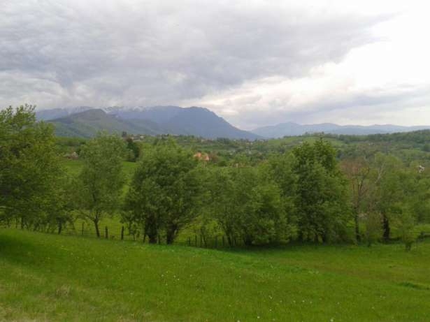 Intravilane, Sohodol, Centru