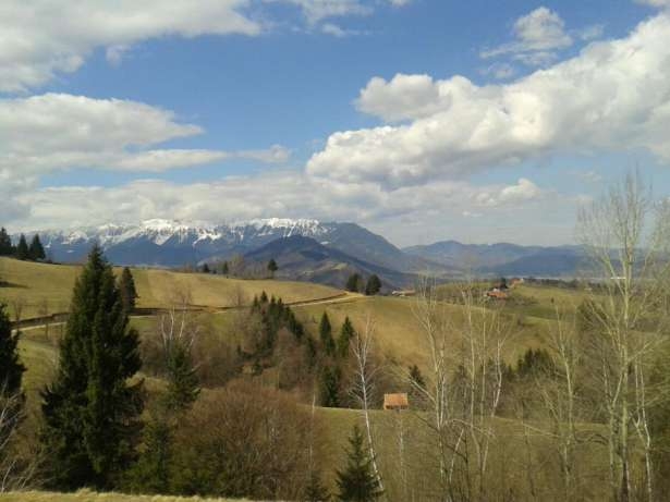 Intravilane, Sohodol, Centru