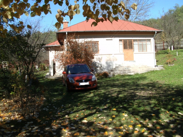 Case, Valea Mare, Gaesti