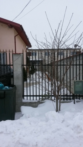 Vile, Berceni, Berceni