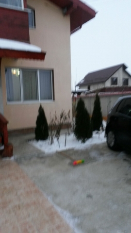 Vile, Berceni, Berceni