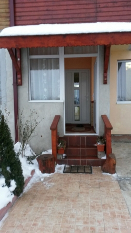 Vile, Berceni, Berceni