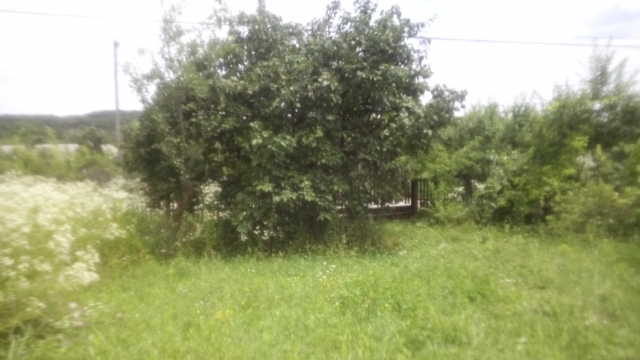 Case, Bogati, Bogați