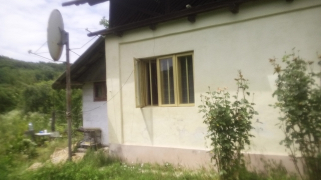 Case, Bogati, Bogați