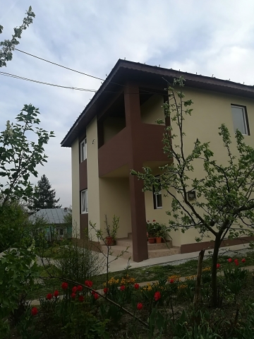 Case, Mitreni, Mitreni