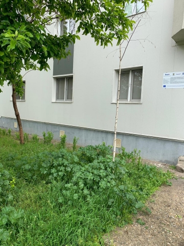 Apartament, 1 MAI, CIUPERCA
