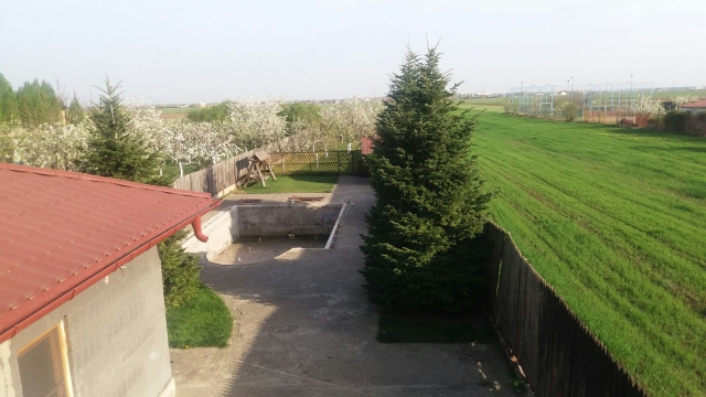 Case, Prahova, Strejnicu
