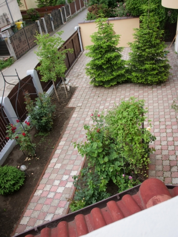 Vile, Pipera, Central-Strada Stefan cel Mare
