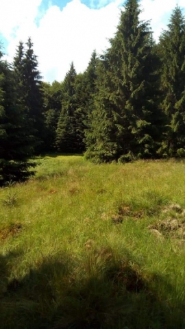 Intravilane, Lunca Visagului, Baraj Floroiu Alunul