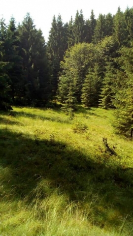 Intravilane, Lunca Visagului, Baraj Floroiu Alunul