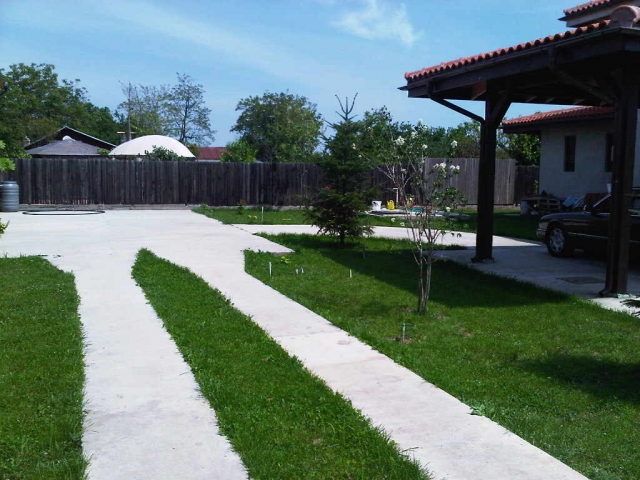Case, Vadul Anei, Langa padure