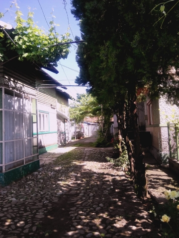 Case, Nedelea, Nedelea