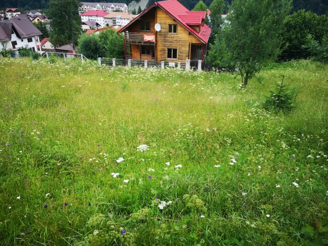 Terenuri, Platoul Izvor, Colina Florilor