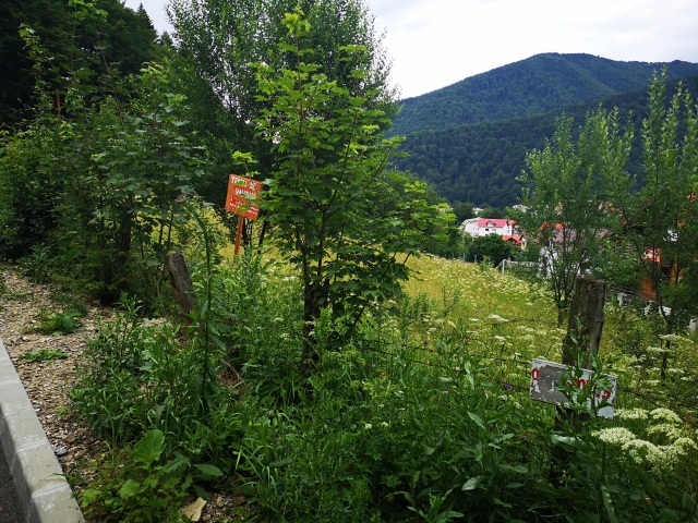 Terenuri, Platoul Izvor, Colina Florilor