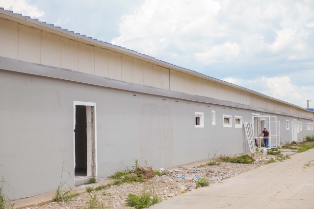 Hale productie, Romania, Pantelimon