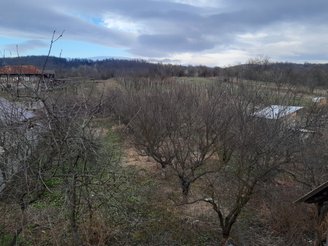 Case, SAT VLADULENI, CIURI
