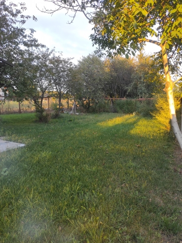 Case, Gulia, Bucuresti Nord-Vest