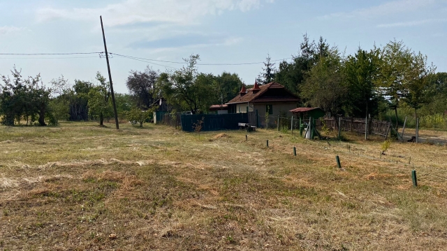 Case, Varfuri, Padure