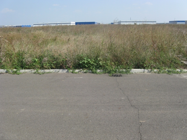 Pentru constructii industriale, KM 12,5, Bucharest West Logistic Park