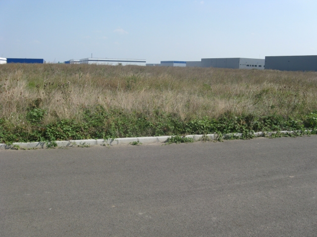 Pentru constructii industriale, KM 12,5, Bucharest West Logistic Park