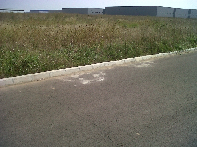 Pentru constructii industriale, KM 12,5, Bucharest West Logistic Park
