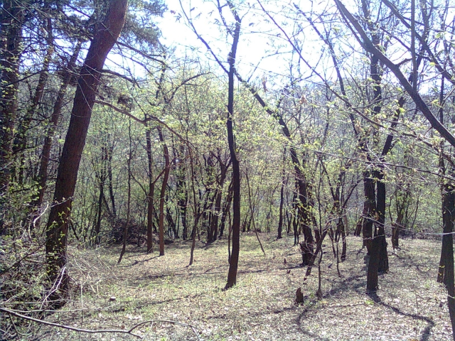 Diverse, Gilau-Tarnita, Lacul Somesul Cald