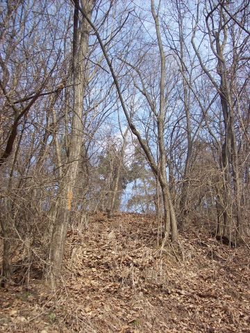 Diverse, Gilau-Tarnita, Lacul Somesul Cald