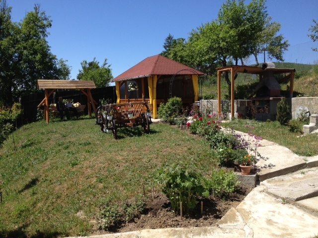 Case, SFANTU GHEORGHE, judetul COVASNA