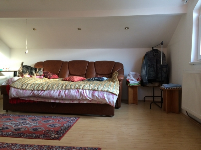 Case, Razvad, Zona de Deal