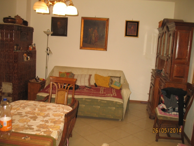 Case, Colentina, Andronache