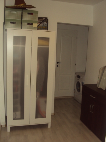 Apartament 2 camere, Socului, BD. Chisinau