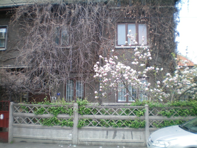 Vile, Tei, Parcul Circului