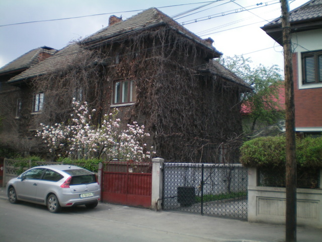 Vile, Tei, Parcul Circului