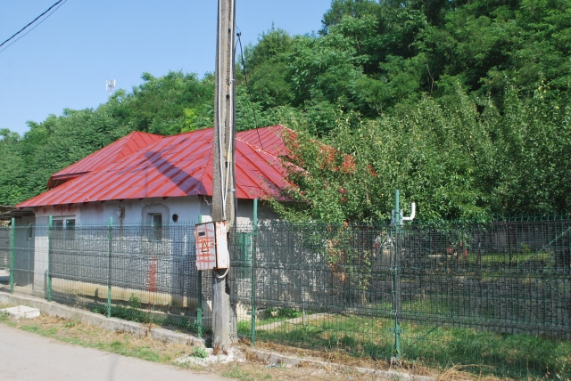 Case, Crucea de Piatra, DN5