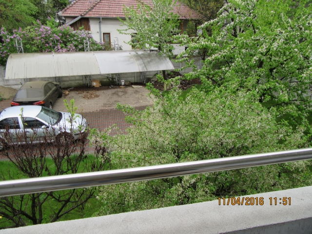 Vile, Centru Traian, GRIGORE PROCOPIU