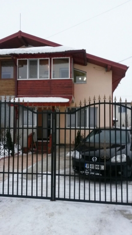 Vile, Berceni, Berceni