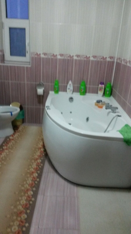 Vile, Berceni, Berceni
