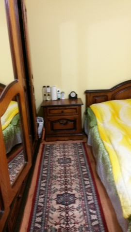 Vile, Berceni, Berceni