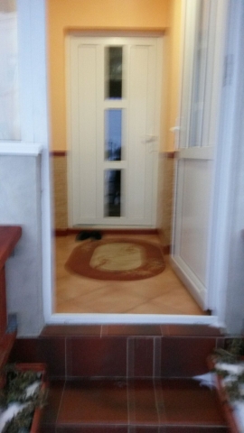 Vile, Berceni, Berceni