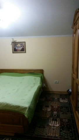 Vile, Berceni, Berceni